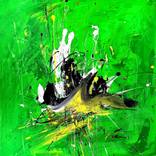Collection Green