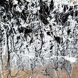 Collection Black and White