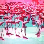 Collection Jessica Today 