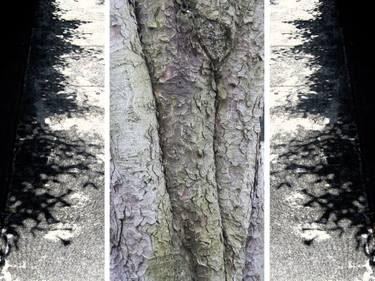 Original Abstract Botanic Photography by Louise Wannier