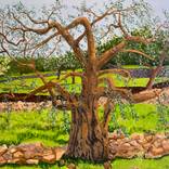 Aging Gracefully by Elizabeth de Sherbinin