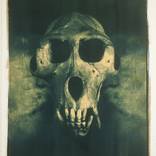 Evolution - Limited Edition 1 of 1 by Scott Bulger