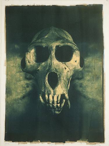 Print of Figurative Mortality Photography by Scott Bulger