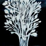Collection Botanical Originals for $1,000 and Under