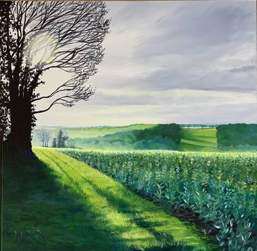 Original Landscape Paintings by Lesley Allan