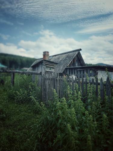 Original Rural life Photography by Larisa Siverina