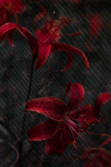 Original Abstract Floral Photography by Larisa Siverina