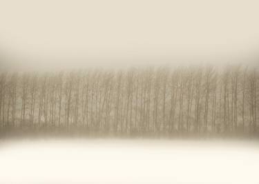 Original Abstract Expressionism Landscape Photography by Larisa Siverina