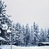 Mammoth Mountain Main Street by Kevin McLain