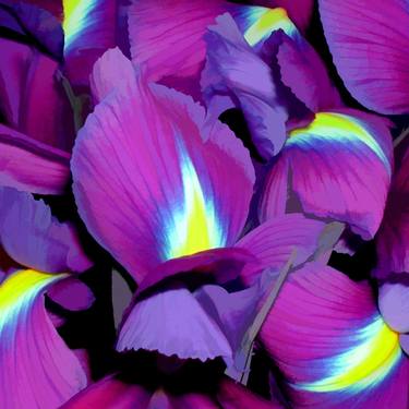 'Purple Irises' thumb