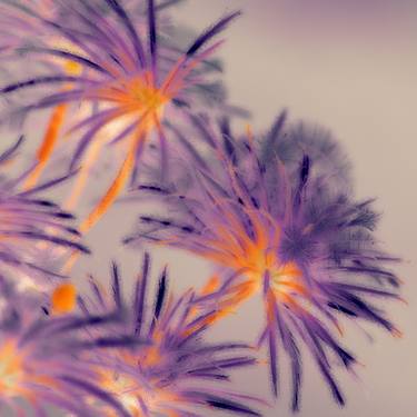 'Purple Fairy Flowers' thumb