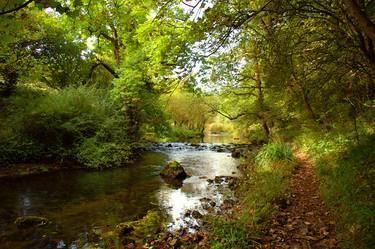 River Walk at Millers Dale, Derbyshire thumb