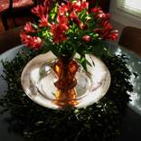 Collection STILL LIFE
