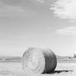 Haybale - Limited Edition of 10 by Kayla Barker