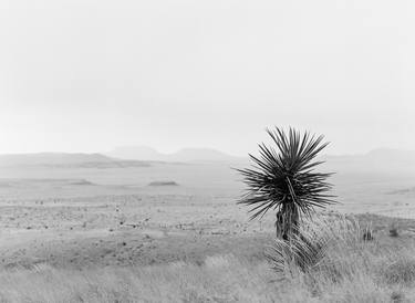 Rain in the Desert - Limited Edition of 10 thumb