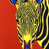 Zebra One by Shai Steiner