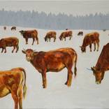 Winter Cows by Maria Strzelecka