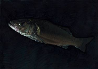 Print of Figurative Fish Paintings by Carlos Javier Márquez