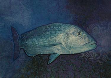 Print of Figurative Fish Drawings by Carlos Javier Márquez