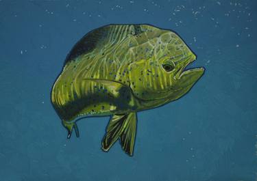 Print of Figurative Fish Drawings by Carlos Javier Márquez