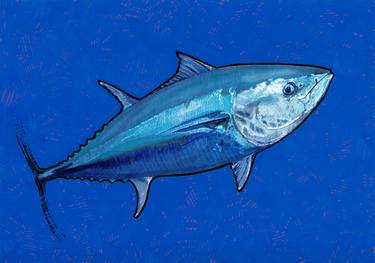 Bluefin tuna 01 thumb