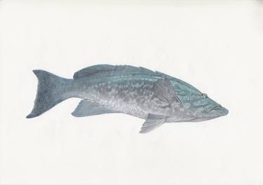 Original Animal Drawing by Carlos Javier Márquez