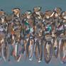 cyclists line