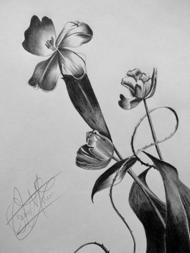 Original Expressionism Floral Drawings by Geovany Mateo