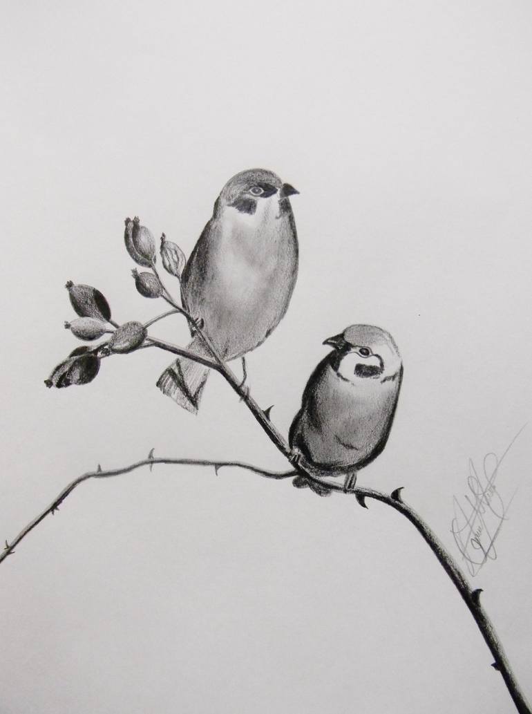 Birds Drawing Drawing by Geovany Mateo | Saatchi Art