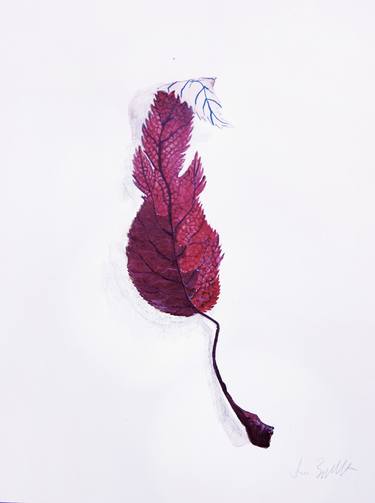 Red Purple Leaf thumb