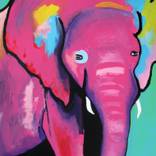 Baby Elephant by Venus Artist