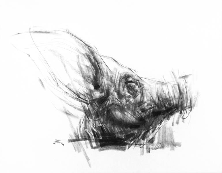 Print of Expressionism Animal Drawings by Zin Lim