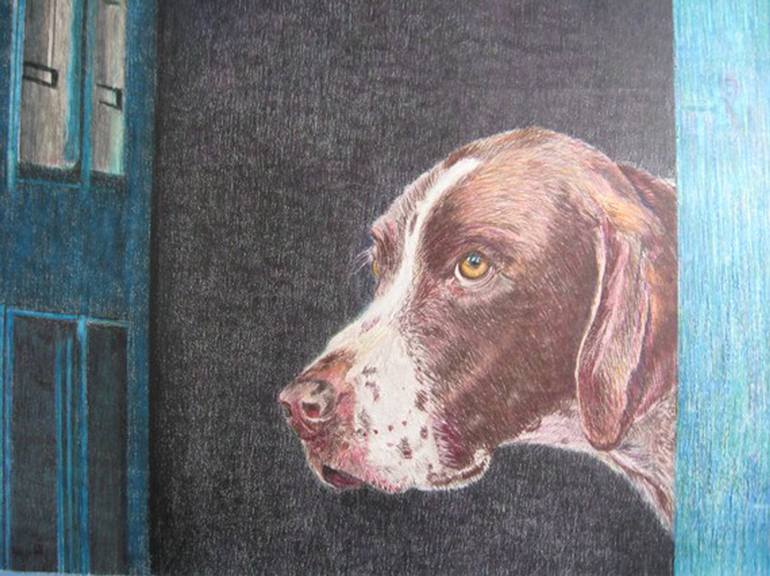 Ginny A German Shorthaired Pointer Drawing By Lisamarie Modell