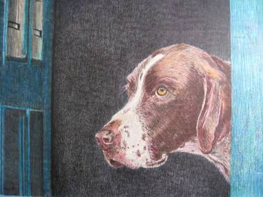 Original Photorealism Dogs Drawings by LisaMarie Modell