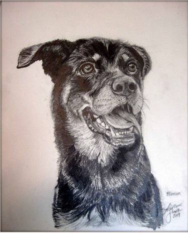 Original Dogs Drawings by LisaMarie Modell