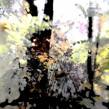Print of Abstract Nature Photography by Tom Kors