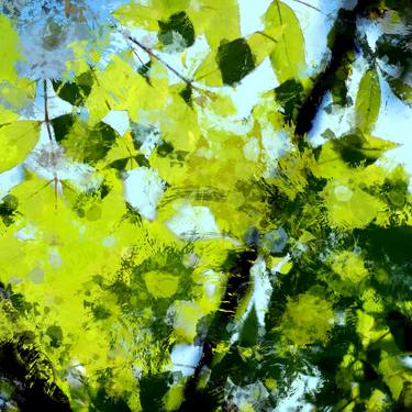 Print of Abstract Nature Photography by Tom Kors