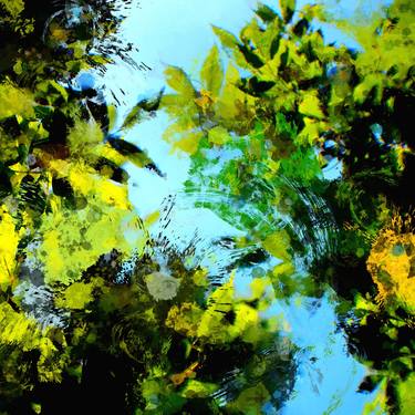 Original Abstract Nature Photography by Tom Kors