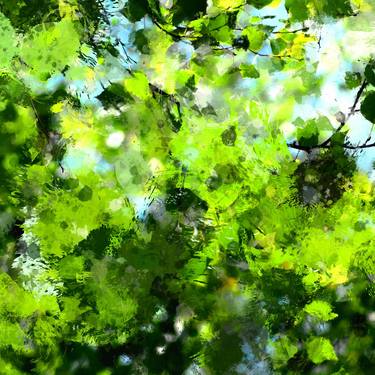 Original Abstract Nature Photography by Tom Kors