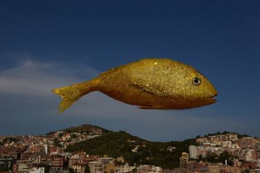 Original Conceptual Fish Photography by Julia Buruleva