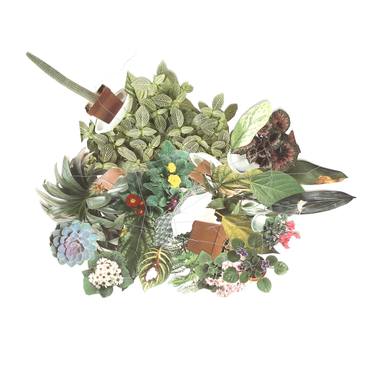 Original Abstract Botanic Collage by Lauren Way