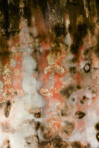 Print of Abstract Wall Photography by Ron Koeberer