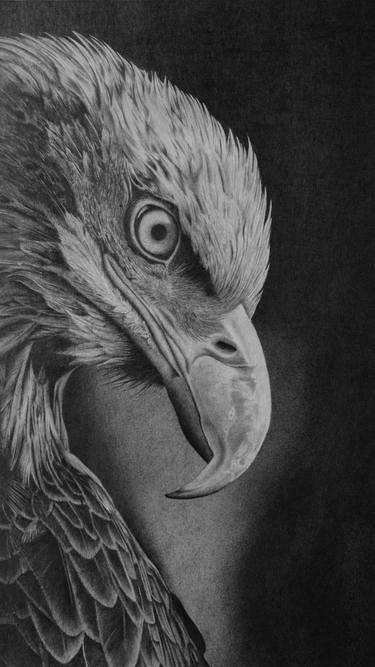 Original Fine Art Animal Drawings by Goran Ilić