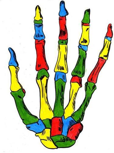 Free hand thumb