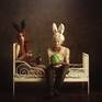 Collection Mr Rabbit series