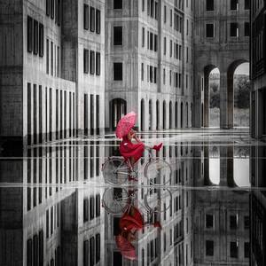 Collection The Red and the Black