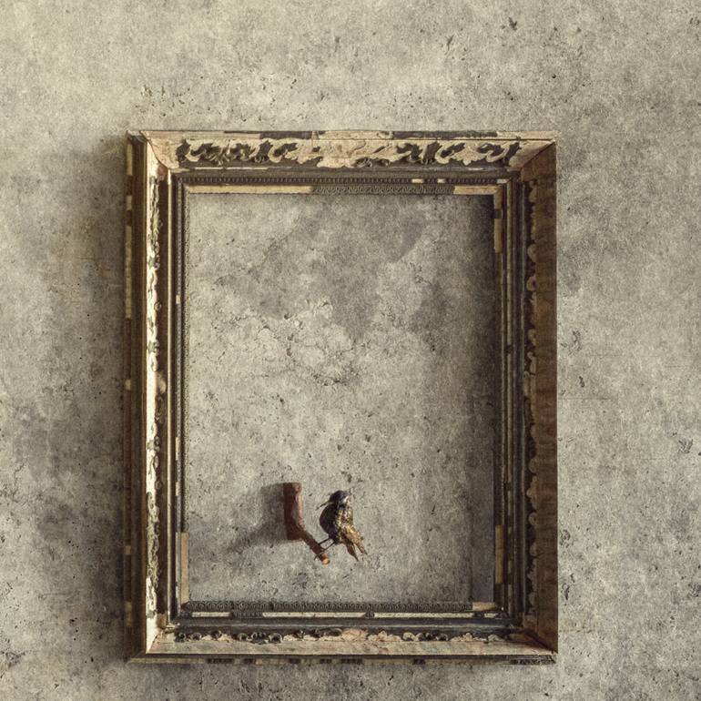 Original Conceptual Women Photography by Peter Zelei