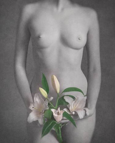 Lily - Limited Edition of 10 image