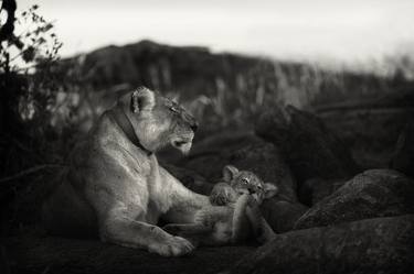 Mother and cub, Serengeti thumb