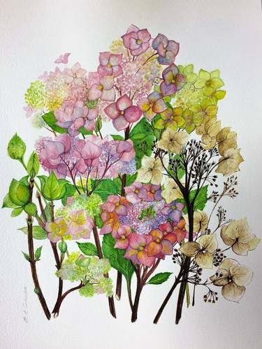 Print of Fine Art Floral Paintings by Barbara Anna Cichocka